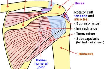AC Joint Arthritis Surgery – From Consultation to Treatment