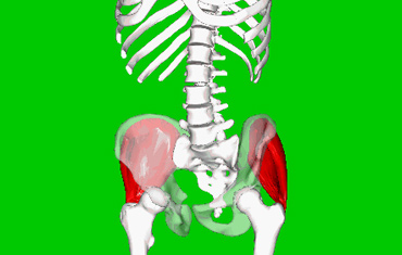 Recovering from Gluteus Medius Tear Surgery